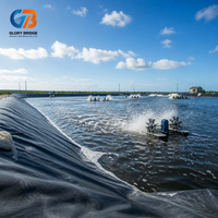 Geomembrana de HDPE Anticorrosiva Impermeable de 1 mm, Geomembrana de HDPE Lisa, Geosintética, Geomembrana de HDPE Lisa