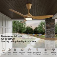 Ventilateur de plafond LED moderne de luxe de 20 pouces avec moteur DC, 6 vitesses, économie d'énergie, garantie de 10 ans pour villa