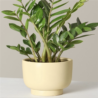 Nouvelle arrivée Pots de bonsaï en céramique émaillée modernes pour la maison et le jardin Vase de fleurs et de jardinières bon marché