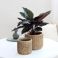 Pot à fleurs en ciment au design en bambou, antique, classique, traditionnel chinois, brun, décoration contemporaine, grand pot, support noir