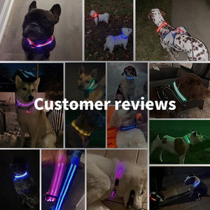 <span class=keywords><strong>Collar</strong></span> reflectante para mascotas con luz intermitente a prueba de agua personalizado ajustable USB tipo C recarga <span class=keywords><strong>collar</strong></span> luminoso LED de lujo para perros - Product Image 5