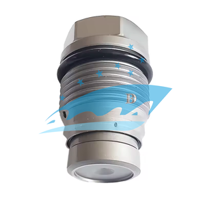 Accessoires d'injecteur Diesel de vente chaude soupape de surpression 1110010022 soupape de décharge 1110010022 pour injecteur de carburant - Product Image 4