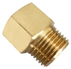 مخصص NPT BSPP G خيط أنثى النحاس المناسب مستقيم الخيوط المخفض بوش - Product Image 4