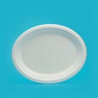 Assiettes en bagasse incassables personnalisées, à compartiments, jetables, pour servir le barbecue
