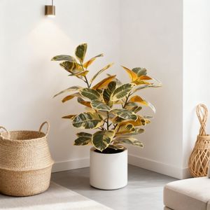 ต้นยางพาราปลอมหลากสีคุณภาพสูงสำหรับตกแต่งภายในบ้าน ขายส่ง - Product Image 5