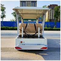 Navette touristique électrique de luxe 6 places avec porte-bagages pour les visites guidées en voiture et en bus