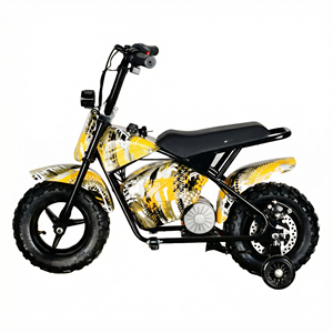 MAXSPEED - Motocicleta de Cross 250DH Más Vendida, Motor de Escobillas de 500 W, Batería de Plomo-ácido de 36 V, Mini Motocicleta Económica de Alta Calidad para Principiantes, 500 W/800 W/1000 W - Product Image 2