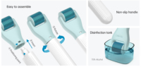 Kit de Dermaroller en Promotion G10, Rouleau de Massage Facial Rafraîchissant pour la Peau, Rouleau à Micro-aiguilles en Acier Inoxydable
