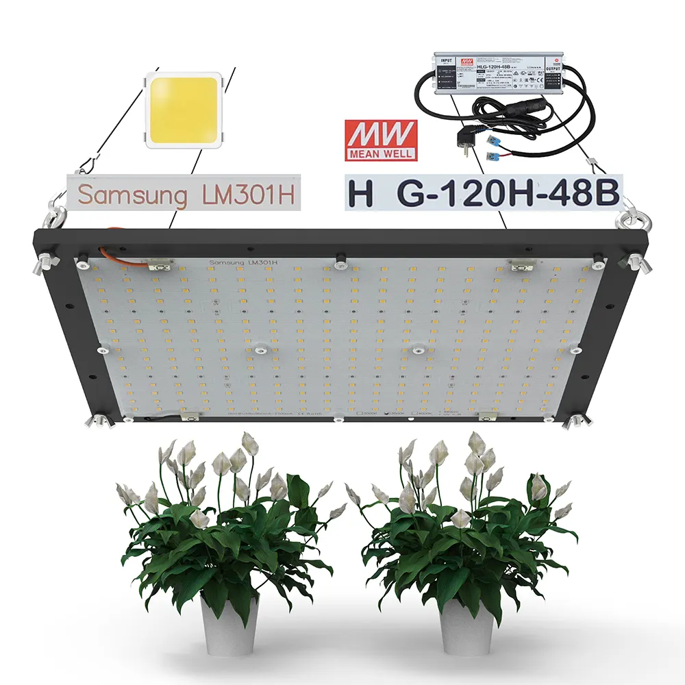 2020 top sale LM301H full spectrum DIY quantum LED MW Hseries driver 120W LED grow light for vertical farm