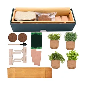 Kit de démarrage de jardin bonsaï naturel, 10 pièces, bricolage, plantes herbes, pour décoration d'intérieur pour enfants
