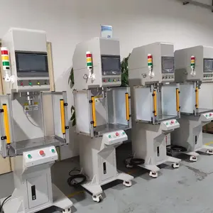 Electric Servo Press Machine - Ultra precision Servo Press Manufacturer