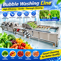 Automatische groentewasmachine voor wortelen, aardappelen, uien, pepers en voedselverwerkingsfabrieken