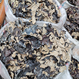Китайский высококачественный сухой черный грибок древесный ушной гриб для продажи черный гриб большого размера - Product Image 3