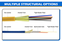 Latiguillo Fibra Óptica Blindado Conector ST 50m 12 Líneas Separadas OS2 1310/1550nm 12 Fibras