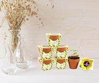 Pot Tanam Mini Terakota Modern Ramah Lingkungan, Perlengkapan Pembibitan Bunga & Herba untuk Anak-Anak & Dewasa, Kit Tanam Bunga Matahari DIY Tanpa Biji