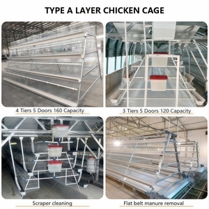 A Type Custom Installation 96 <strong>Birds</strong> 3 Tiers Galvanized <strong>Cage</strong> - Product Image 1