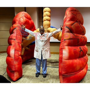 Attrezzature per l'insegnamento medico gonfiabili per organi del corpo gonfiabili per <span class=keywords><strong>palloncini</strong></span> gonfiabili per polmone sano - Product Image 3