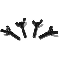 M5 M8 ASTM A325 A307 GR2 GR5 acier galvanisé oxyde noir électrophorèse ZP bord papillon aile machine vis à filetage DIN318