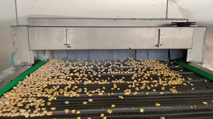 Équipement de congélation automatique personnalisé pour légumes surgelés : machine à congeler les petits pois, le maïs sucré et les carottes bébé - Product Image 3