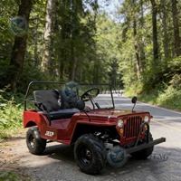 Mini Jeep 125cc 110cc 150cc à essence, Buggy des dunes, Voiture électrique pour enfants, Moto 2 places, Mini jeep tout-terrain - Fournisseur Chine