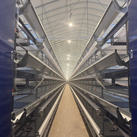 Système de cages à poulets en couches de type H professionnel pour élevage avicole, cage à batterie automatique pour 1000 à 5000 oiseaux