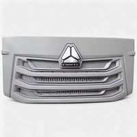 Grille de panneau avant YG1671110701 pour HOWO NJ17 HOHAN N7G