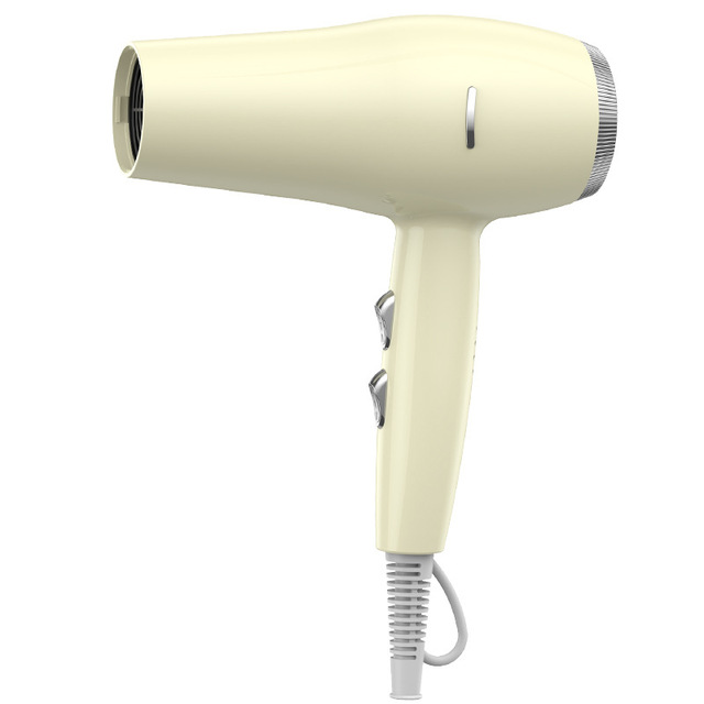 High Power DC Motor Hair Dryer Professional Strong Wind Blue Light Ionic Blow Dryer