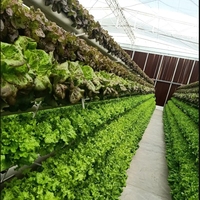 Tuyau PVC bon marché hydroponique PP Grow Channel système de ravin vertical NFT