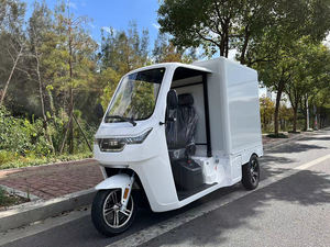 Certificat CEE Tricycle électrique 3000W avec batterie au plomb 60v 100AH vitesse maximale 45 km/h Tricycle électrique sur route - Product Image 5