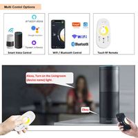Tuya smart cct led contrôleur de bande 24v bicolor cob cct led bande 2835 réglable blanc led lumière bande smart cct contrôleur wifi