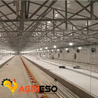 Ampoule LED de type H pour cage à poulets avec fil, éclairage pour l'élevage de poulets de chair et de poules pondeuses