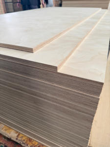 <span class=keywords><strong>Compensato</strong></span> di Betulla di Alta Qualità Conforme agli Standard Europei <span class=keywords><strong>Compensato</strong></span> <span class=keywords><strong>Marino</strong></span> BS1088 per Applicazioni Interne - Product Image 4