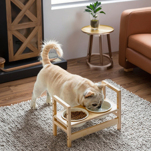 Kem trắng gốm đôi bát rắn lớn lên con chó món ăn bền chống trượt tre đứng cầm tay vật nuôi cho ăn món ăn Kích thước trung bình - Product Image 4