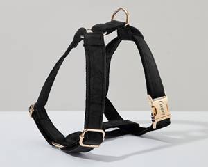 ชุดสายจูงและสุนัขพันธุ์วีทสีดำใช้ในสายจูงสุนัข + ปลอกคอ + โบว์ไท + ที่ใส่ถุงใส่อุจจาระไม่มีสายรัดสำหรับงานแต่งงาน - Product Image 2