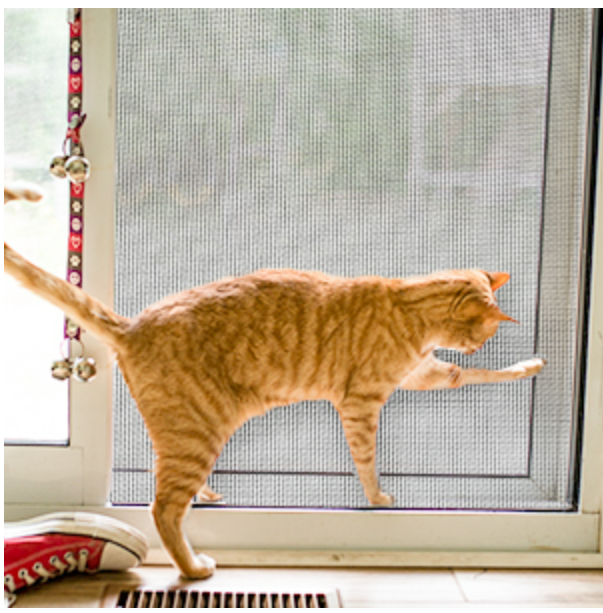Modern Design Anti-Scratch Anti-Bite Coated Pet-Proof Screen Mesh Door Cat Dog Resistant Insects Made Durable Polyester Netting