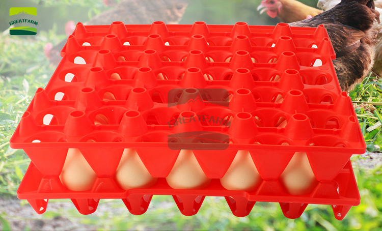 Great-farm Egg trays egg turning tray High temperature resistant washable color polyethylene material 30 common egg tray