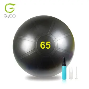 China Manufacturer Anti Burst Colorful 65cm Gym Ball Exercise Ball