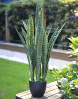 Tanaman Sansevieria Buatan yang Realistis, Tanaman Agave Ramah Lingkungan, Tanaman Hijau Abadi untuk Dekorasi Rumah, Dekorasi Thanksgiving