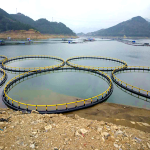 Sistema de jaulas circulares de HDPE llave en mano, solución completa de acuicultura para granjas comerciales en el océano - Product Image 4