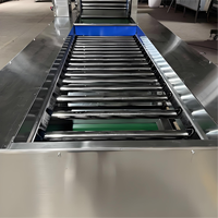 Betrouwbare automatische fruit- en groentesorteermachine met eenvoudig onderhoud voor fruit- en groenteverpakkingsfabrieken