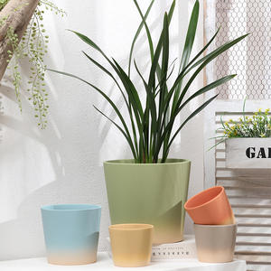 P283 Plateaux en céramique pour pots de fleurs et succulentes <span class=keywords><strong>d</strong></span>'intérieur, disponibles en plusieurs couleurs pour tables de pépinière - Product Image 6