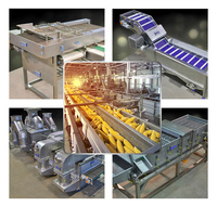 Tca Automatische Iqf Bevroren Groente En Fruit Productielijn Groente En Bladeren Bevriezen Productielijn Bevriezing Machine Lijn