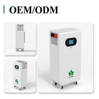 Batterie au lithium à décharge profonde 51,2 V 300 Ah 16 kWh 20 kWh 32 kWh LiFePO4 48 V 100 Ah 300 Ah pour stockage d'énergie domestique solaire