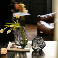 Vase en verre transparent irrégulier haut de gamme, vase décoratif de bureau pour salon, vase transparent pour fleurs hydroponiques