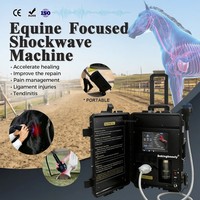 Appareil de thérapie par ondes de choc focalisées pour chevaux, dispositif vétérinaire pour soulager la douleur, ondes de choc non invasives, garantie de 24 mois
