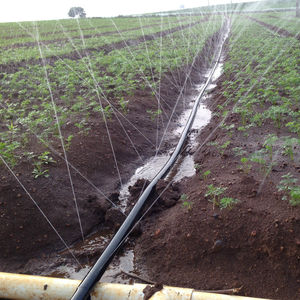 Layflat बारिश स्प्रे नली ड्रिप सिंचाई प्रणाली बारिश नली पीई माइक्रो स्प्रे सिंचाई ट्यूब - Product Image 2