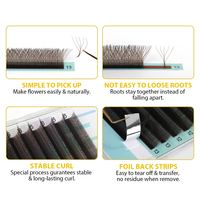 SP Private Label 3D 4D 5D W Forme Cils Brésiliens YY Extensions de Cils Mesh Cilios Tissé à la Main YY Lash Brown Extension de Cils