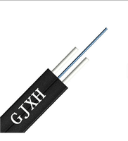 Cable de Fibra Óptica para Exteriores FTTH GJYXFCH con Alambre de Acero y Cubierta Exterior de Lszh/PVC, Cable de Bajada para Temperaturas Operativas