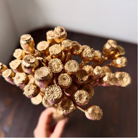Echte Getrocknete Gold- und Silber-Mohnblumen 40 Gramm pro Bündel für Blumenarrangements zu Hause und DIY-Hochzeitsdekorationen