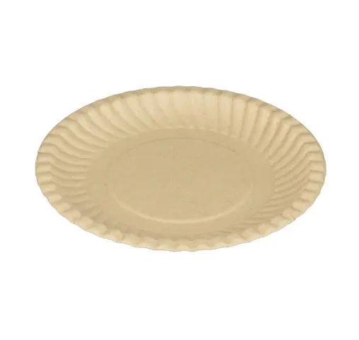 Disposable Biodegradable Eco Friendly Elegant Sugarcane Bagasse Pulp Paper Round Dinner Fruit Plate and Tray Tableware